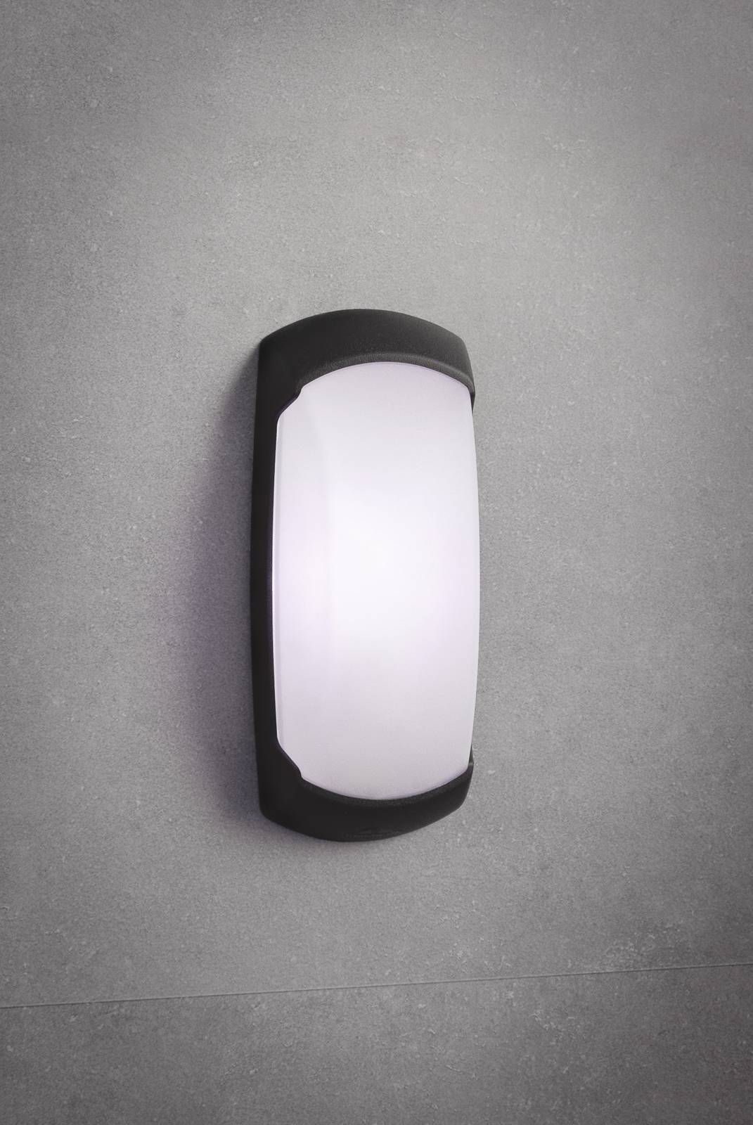 Svítidlo Fumagalli černá/opálová Syntetická pryskyřice/PMMA