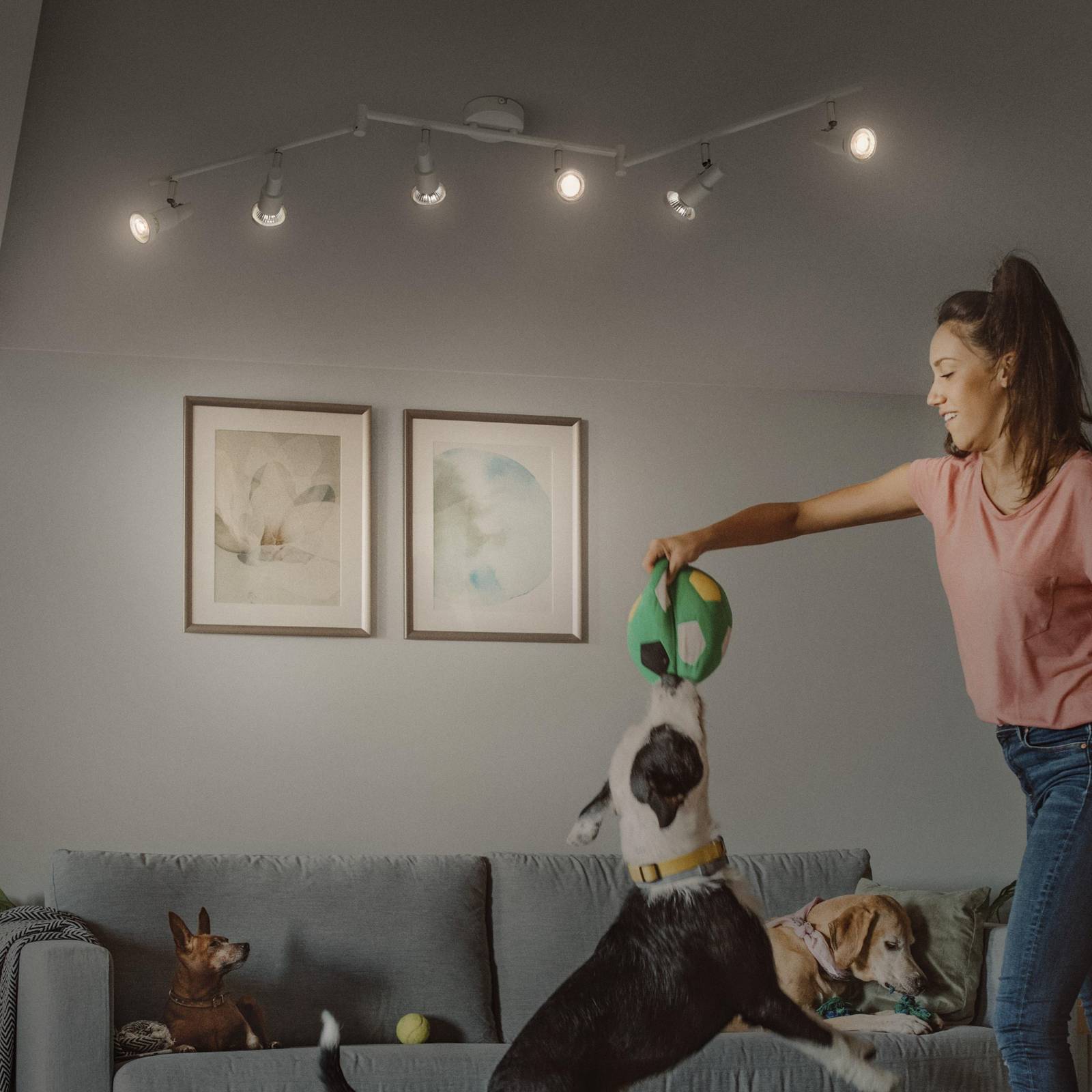 Svítidlo LEDVANCE bílá Ocel