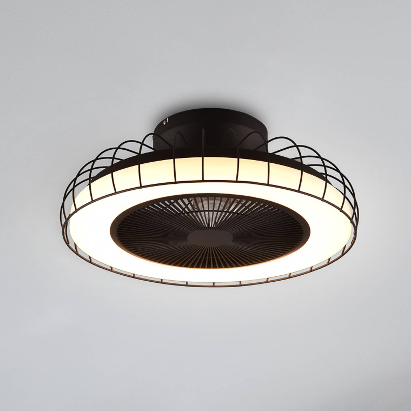 Svítidlo Reality Leuchten černá Kov