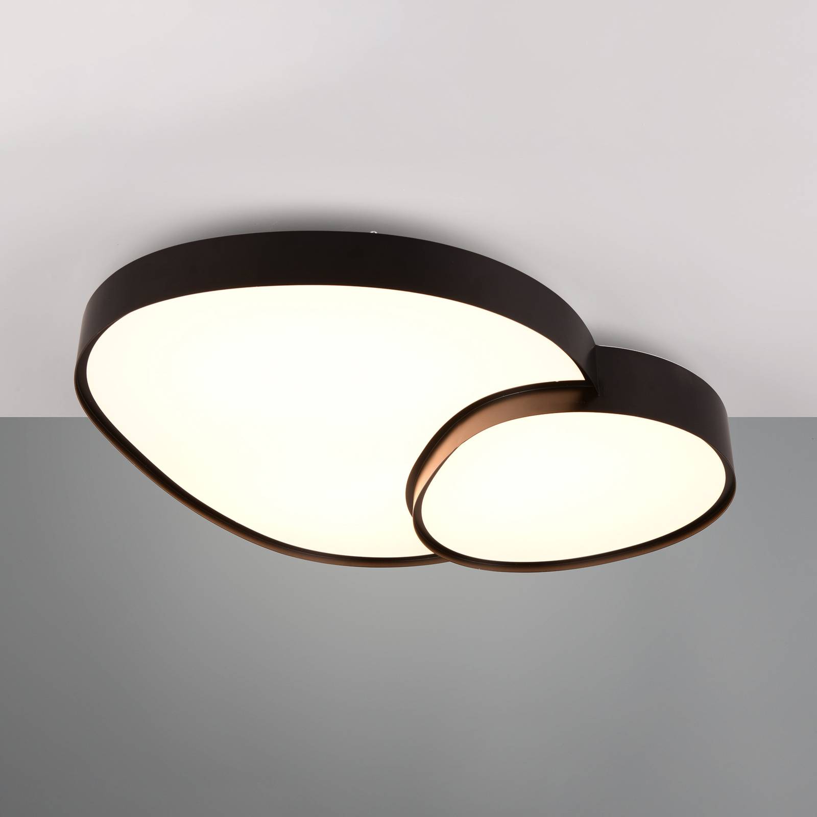 Svítidlo Trio Lighting černá matná Kov/plast
