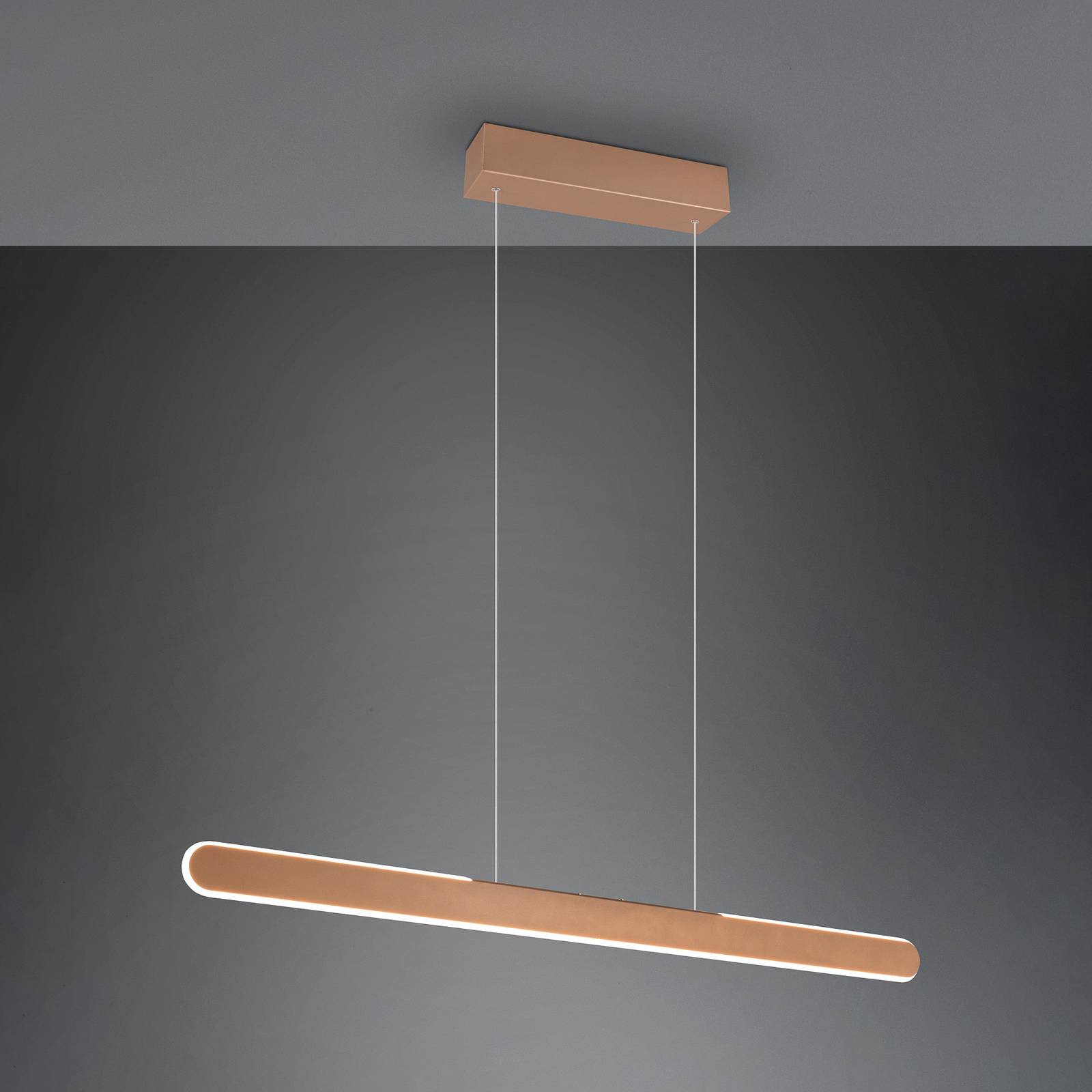 Svítidlo Trio Lighting kávově hnědá Kov
